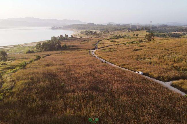 济宁经济开发区:真情暖民心,网格助文旅